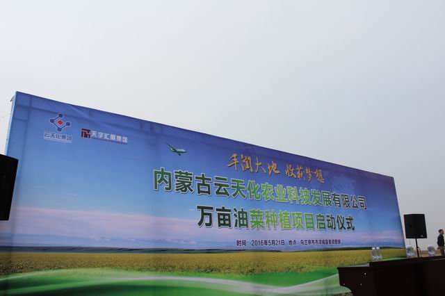 内蒙古云天化正式进驻凉城,万亩油菜种植项目隆重启动