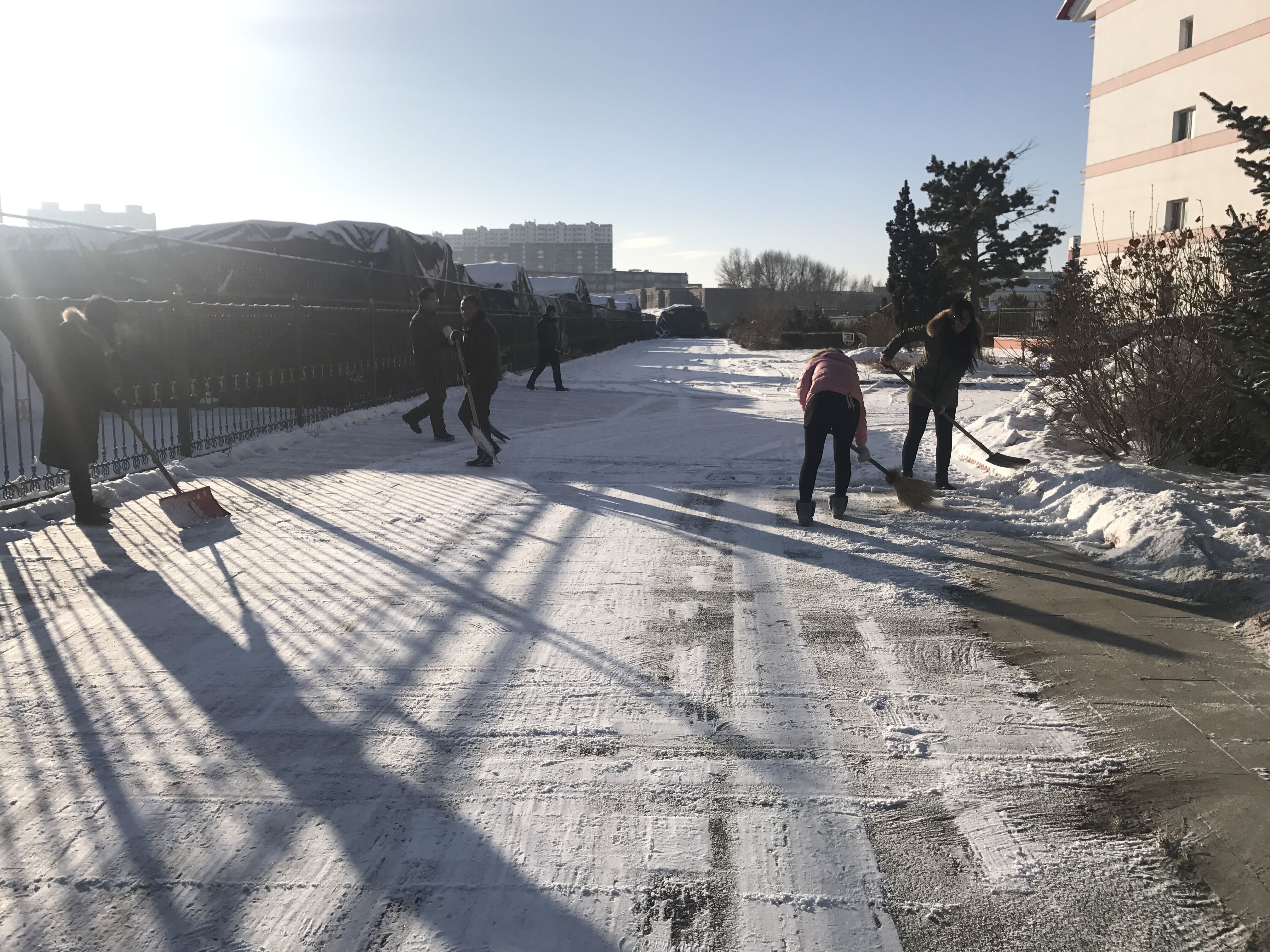 齐心协力扫冬寒  团结互助除隐患