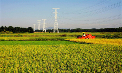 农业结构性改革抓好“四个调