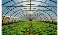 冬季大棚种植的六大误区