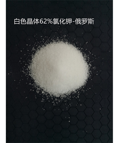 俄罗斯进口62%晶体