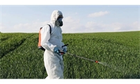 高温条件下农药这样打：安全、高效！